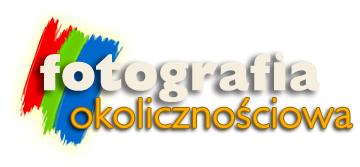 Usługi fotograficzne