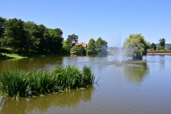 54.jpg