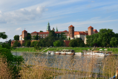 DSC_8252_01.jpg