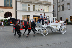 DSC_8303.jpg