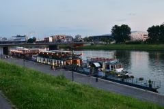 DSC_8323.jpg