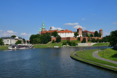 DSC_8594.jpg