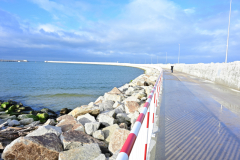 NZ6_3559.jpg