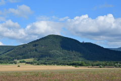 NZ6_5343.jpg