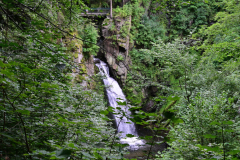 NZ6_5374.jpg