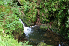 NZ6_5515.jpg