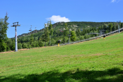 NZ6_5676.jpg