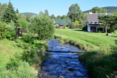 NZ6_5700.jpg