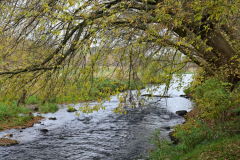 NZ6_7742_01.jpg