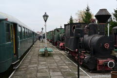 NZ6_8225.jpg