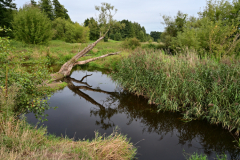 Z62_2775.jpg