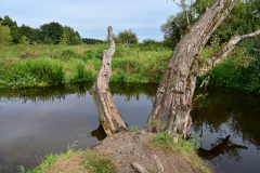 Z62_2776.jpg