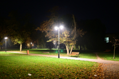 Z62_9135.jpg