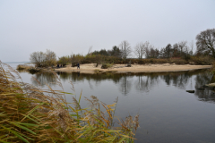 Z62_9585.jpg