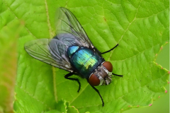 image-10.jpg