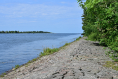 image-12.jpg