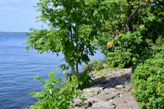 image-14.jpg