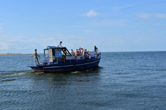 image-15.jpg
